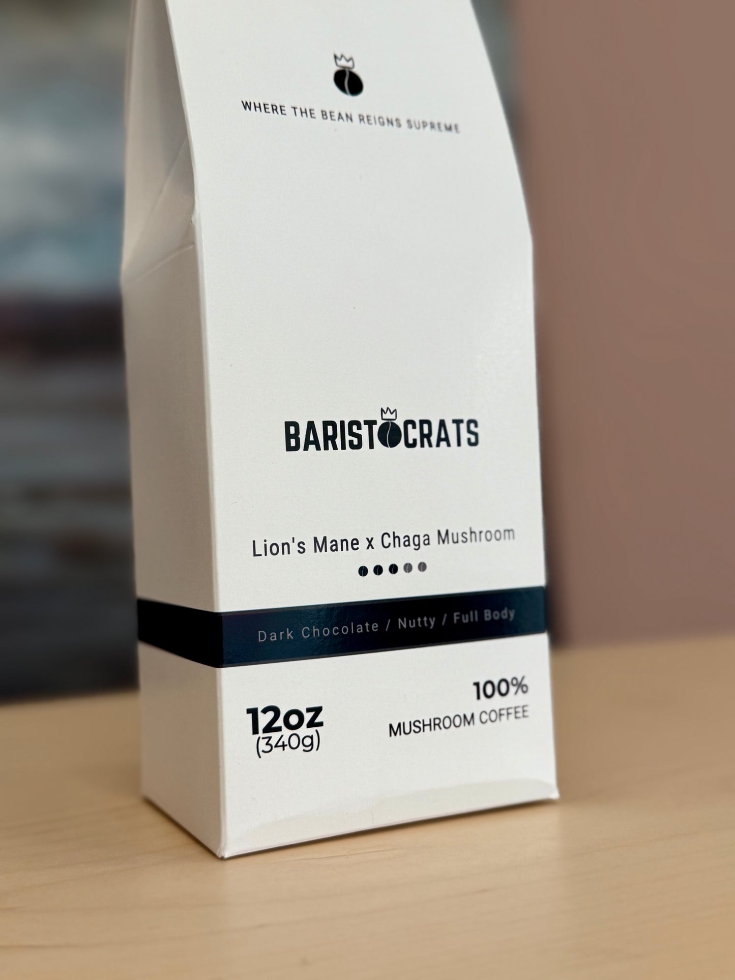 Lion's Mane x Chaga Mushroom