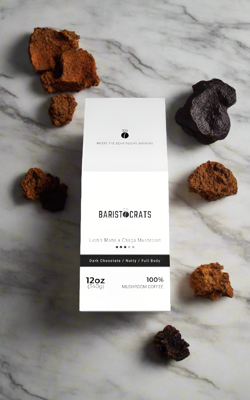 Lion's Mane x Chaga Mushroom