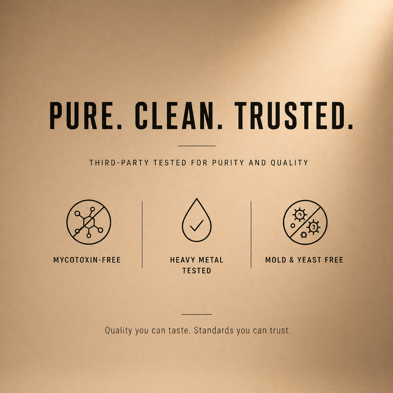 Lion's Mane x Chaga Mushroom