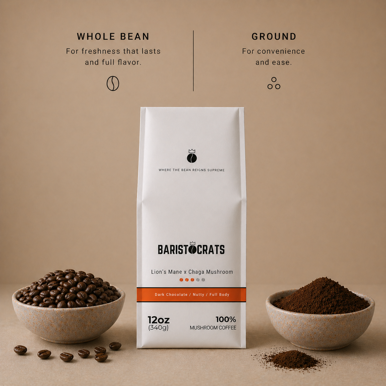 Lion's Mane x Chaga Mushroom