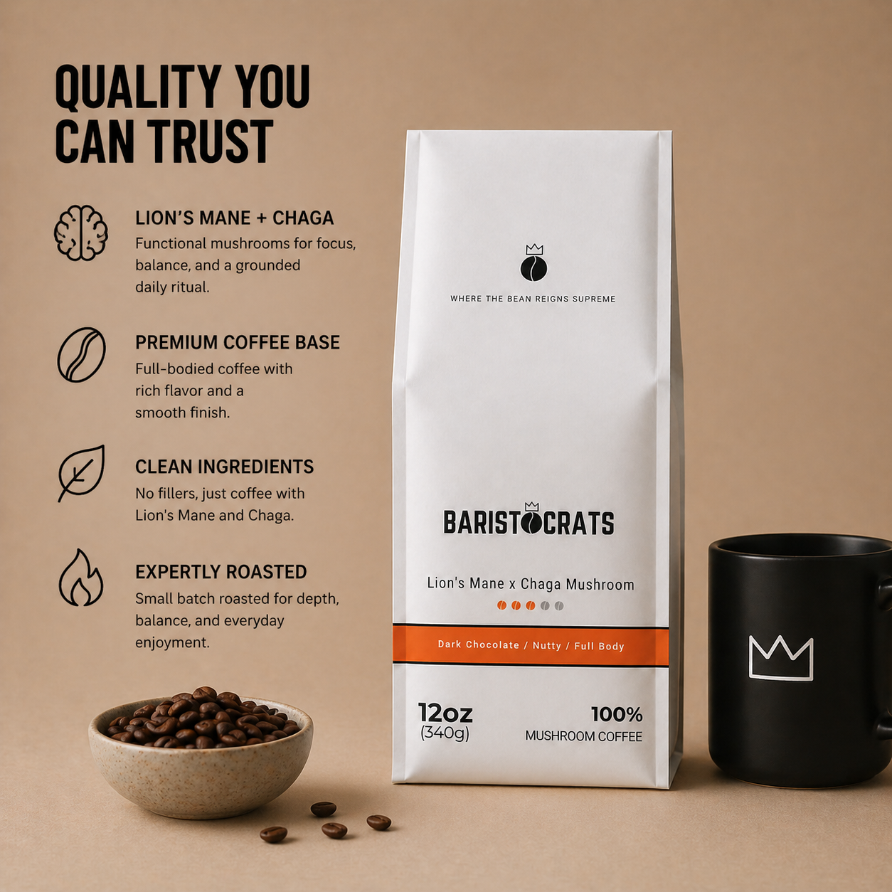 Lion's Mane x Chaga Mushroom