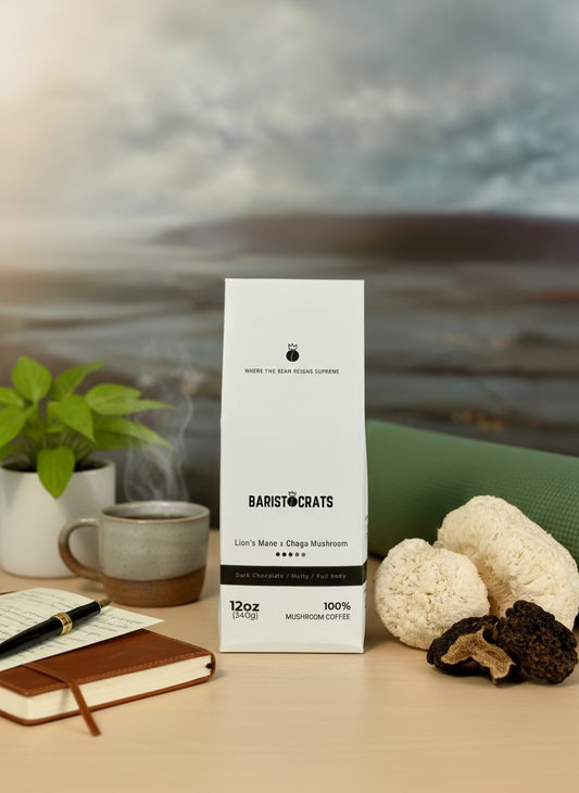 Lion's Mane x Chaga Mushroom