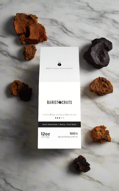 Lion's Mane x Chaga Mushroom